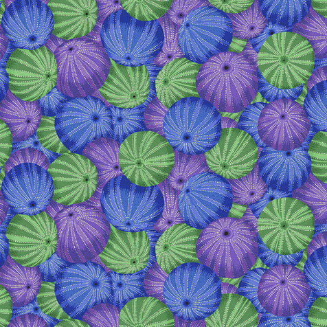 SEA URCHINS blue