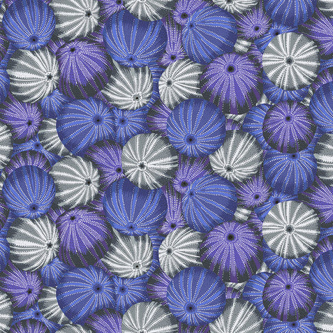 SEA URCHINS grey