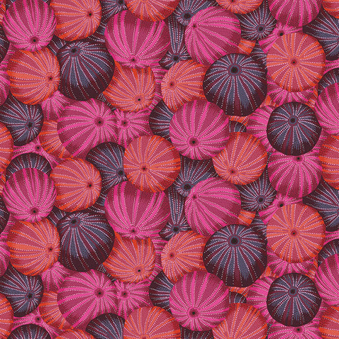 SEA URCHINS red