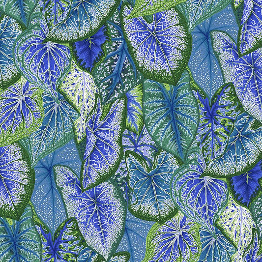 CALADIUMS blue - 1 yards