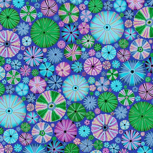 URCHIN blue