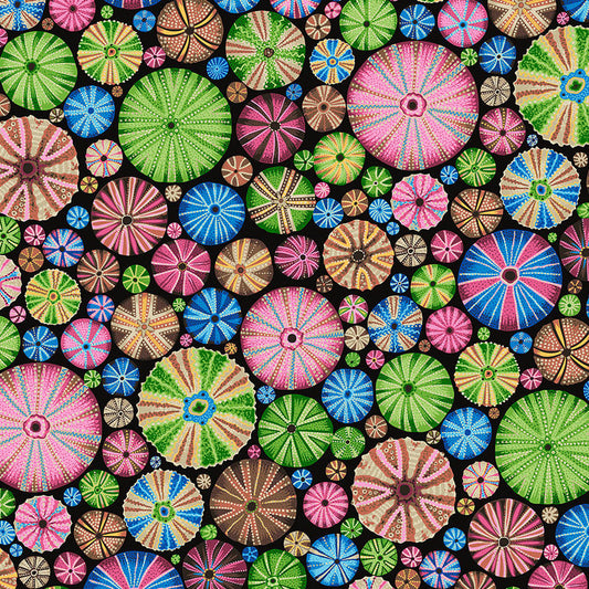 URCHIN multi