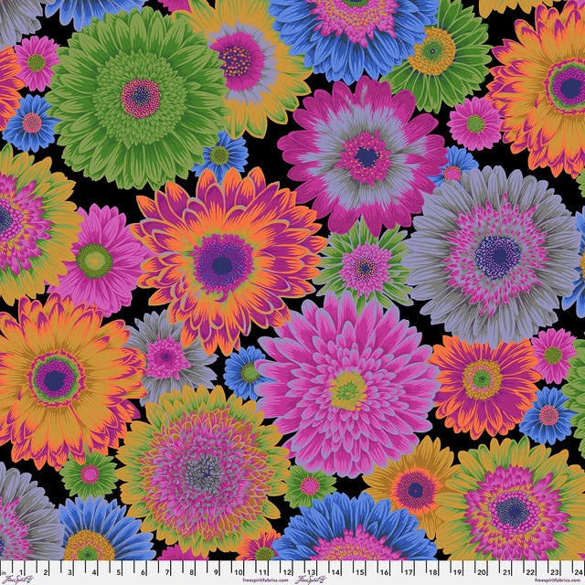 GERBERA DAISIES Dark