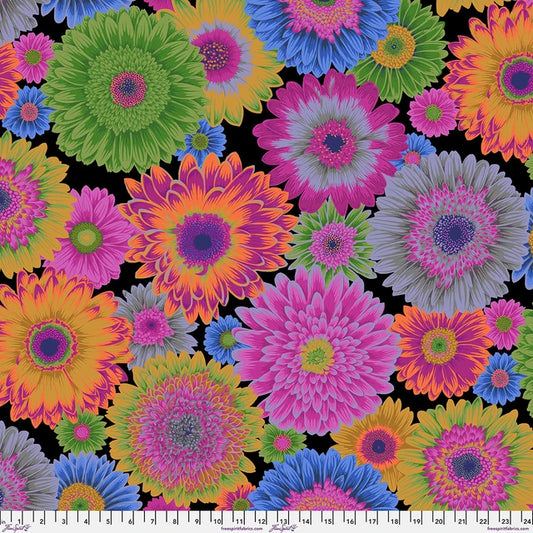 GERBERA DAISIES Dark