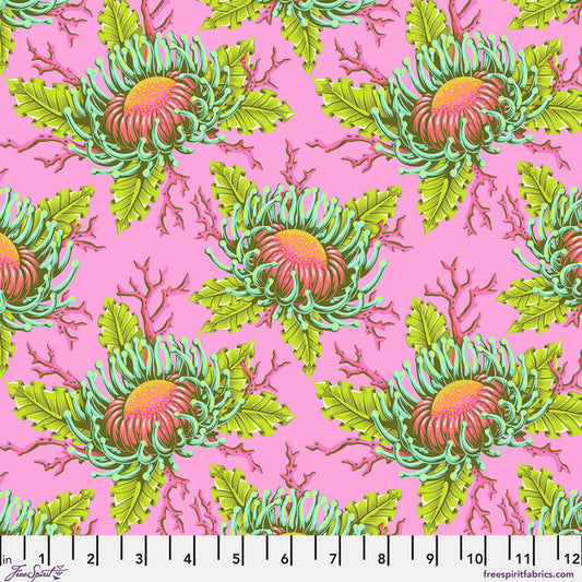 FLORAL REEF Friends & Anemones coralline