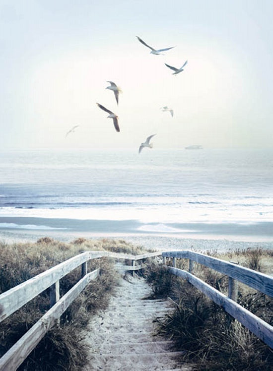 CALL OF THE WILD Beach Steps Panel  32"x43"