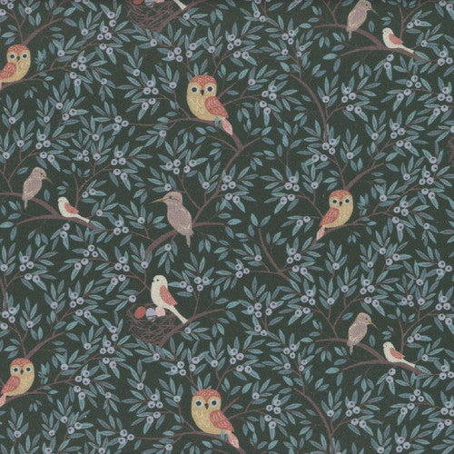 ALPHABET CITY Birds fossil D3221