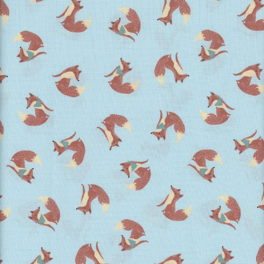 ALPHABET CITY Foxes sky D3223