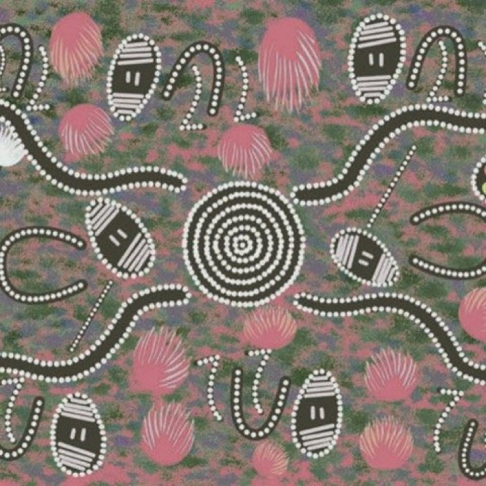 AUSTRALIAN Tree Snake Gathering grey