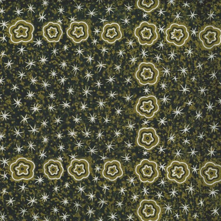 AUSTRALIAN Women Watching Stars at Night olive