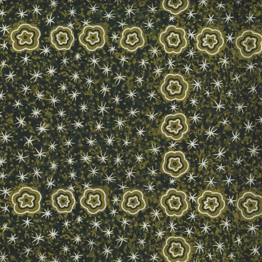 AUSTRALIAN Women Watching Stars at Night olive
