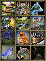 WILD AND WOVEN 54"x43" Panel
