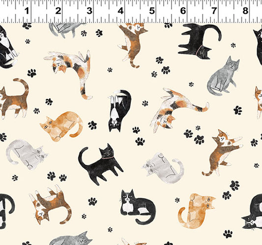 HOMEBODIES Tossed Cats cream