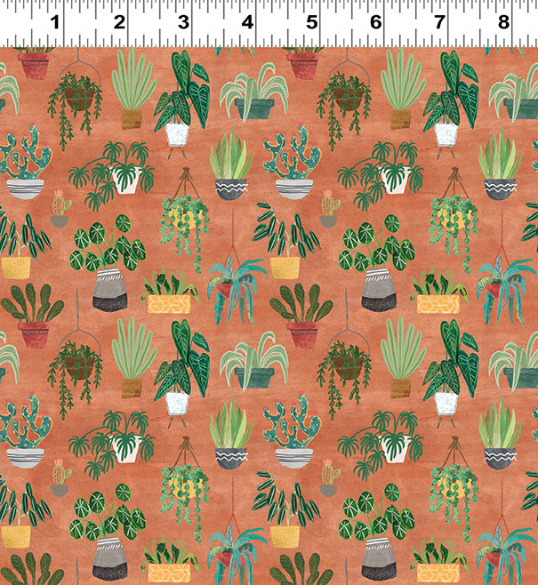 HOMEBODIES Plants rust