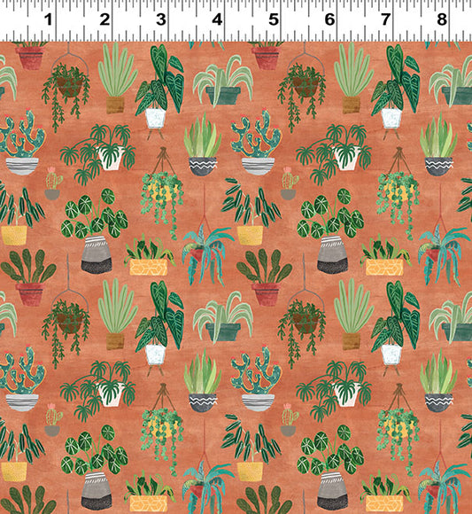 HOMEBODIES Plants rust