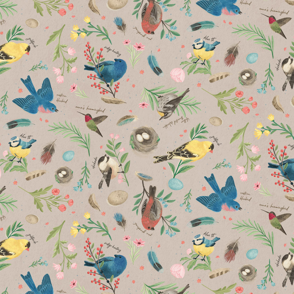 BIRD STUDY Birds khaki
