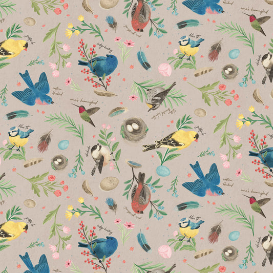 BIRD STUDY Birds khaki