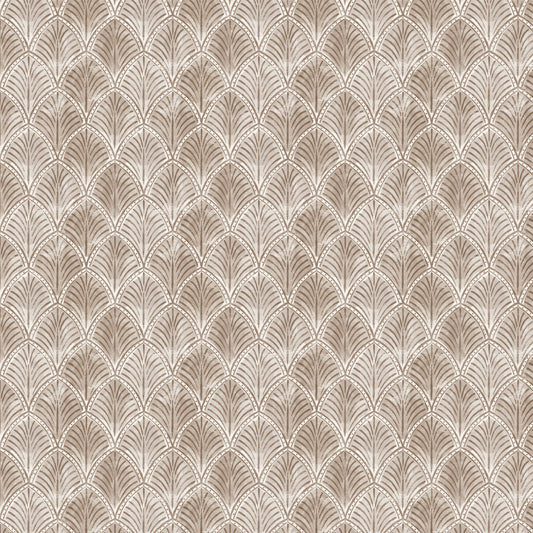 BIRD STUDY Scallop khaki