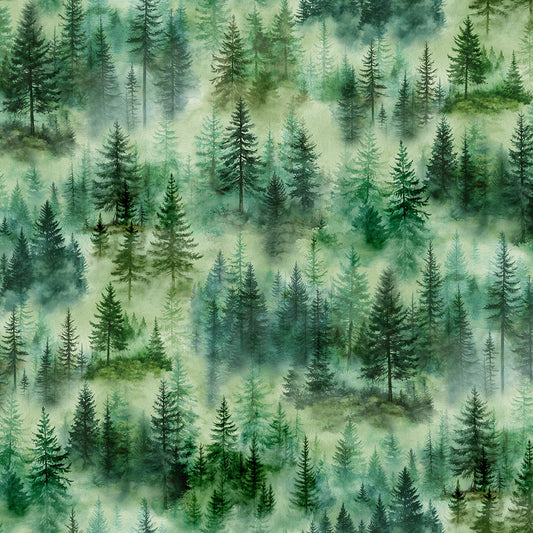 RISE & CAST Trees fern