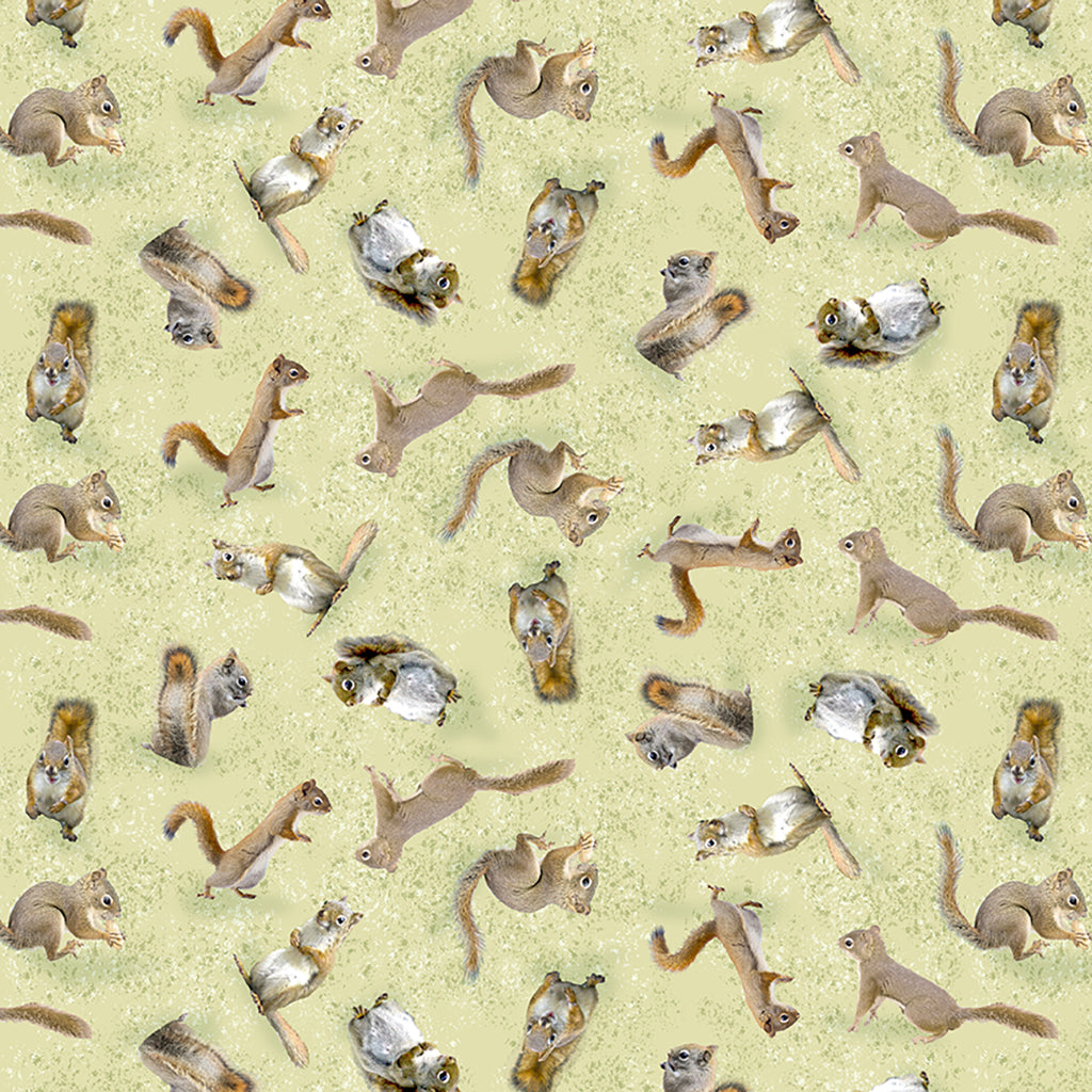 THE SECRET LIFE OF SQUIRRELS Squirrels light olive