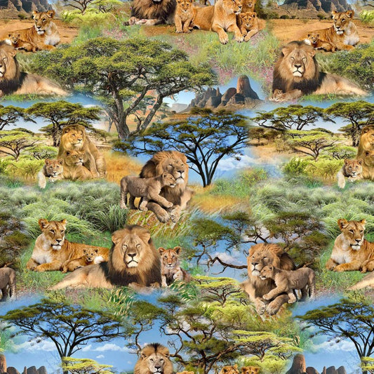 SERENGETI PLAINS African Pride