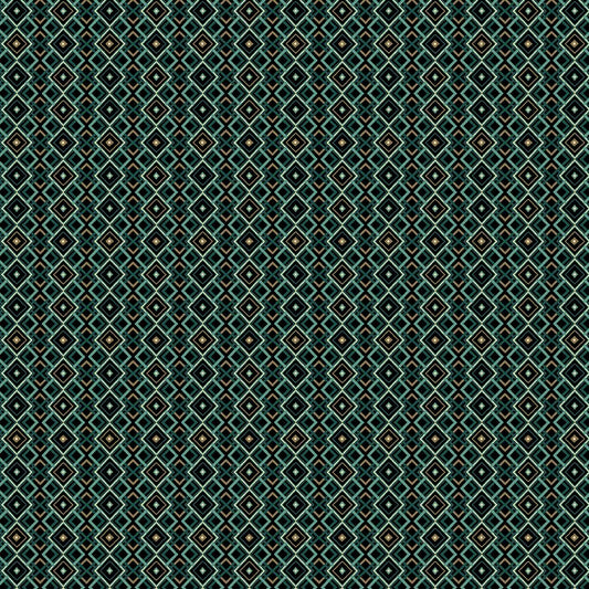 INTO THE WILD Diamond Geo Stripe teal