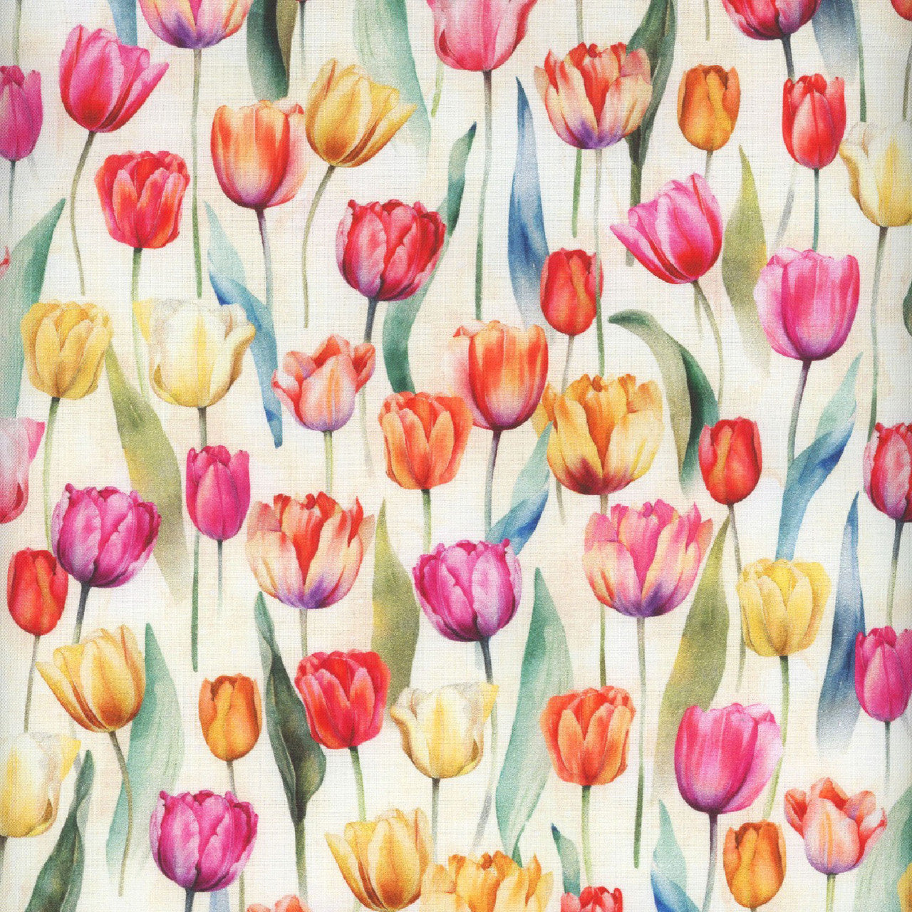 FLOWER SHOPPE W5480 439 tulip