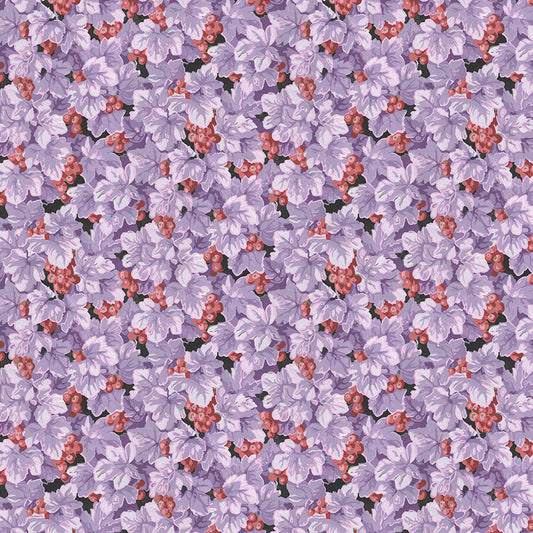COTTAGE GARDEN Grape Vine purple