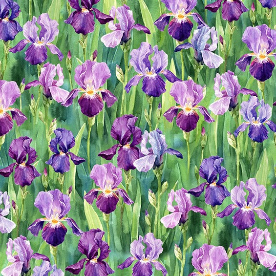 FLOWER SHOPPE W5479 228 viola