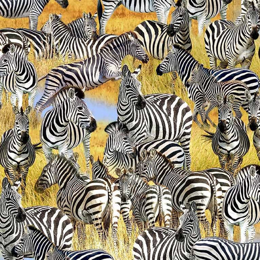 SERENGETI PLAINS Savanna Dazzle