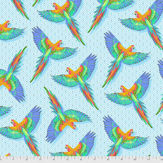 DAYDREAMER Macaw Ya Later cloud