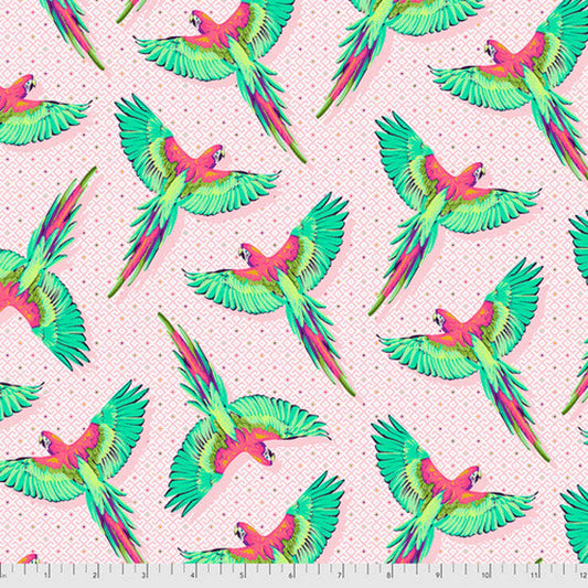DAYDREAMER Macaw Ya Later dragonfruit