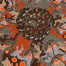 AUSTRALIAN Bush Sweet Potato grey
