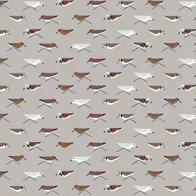 COASTAL VOL 2 Sanderlings